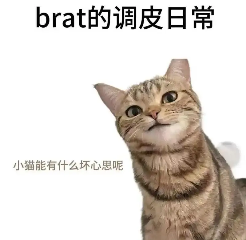 西檬之家k8猫系怎么玩?字母圈新人如何安全入圈?详解SSC原则与安全词设置,厘清Domsub关系与感官游戏边界,助你建立信任共识,理性探索健康实践。 一