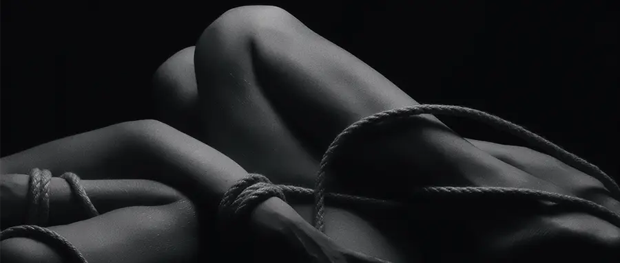 西檬之家DS关系是什么？ 一