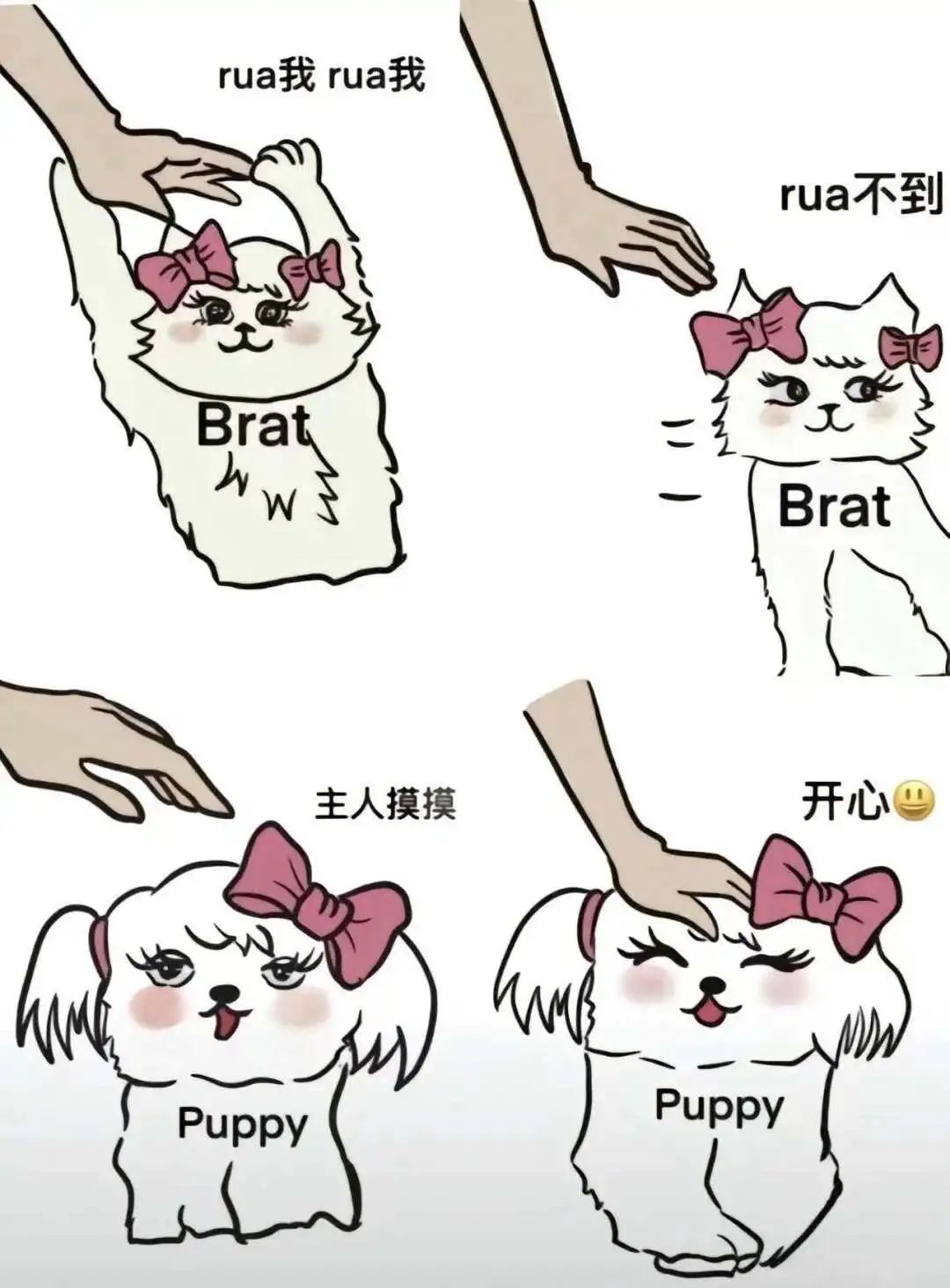 西檬之家字母圈Brat属性是什么？ 一