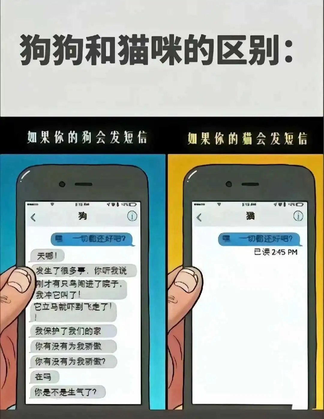 西檬之家字母圈K9是什么? 一