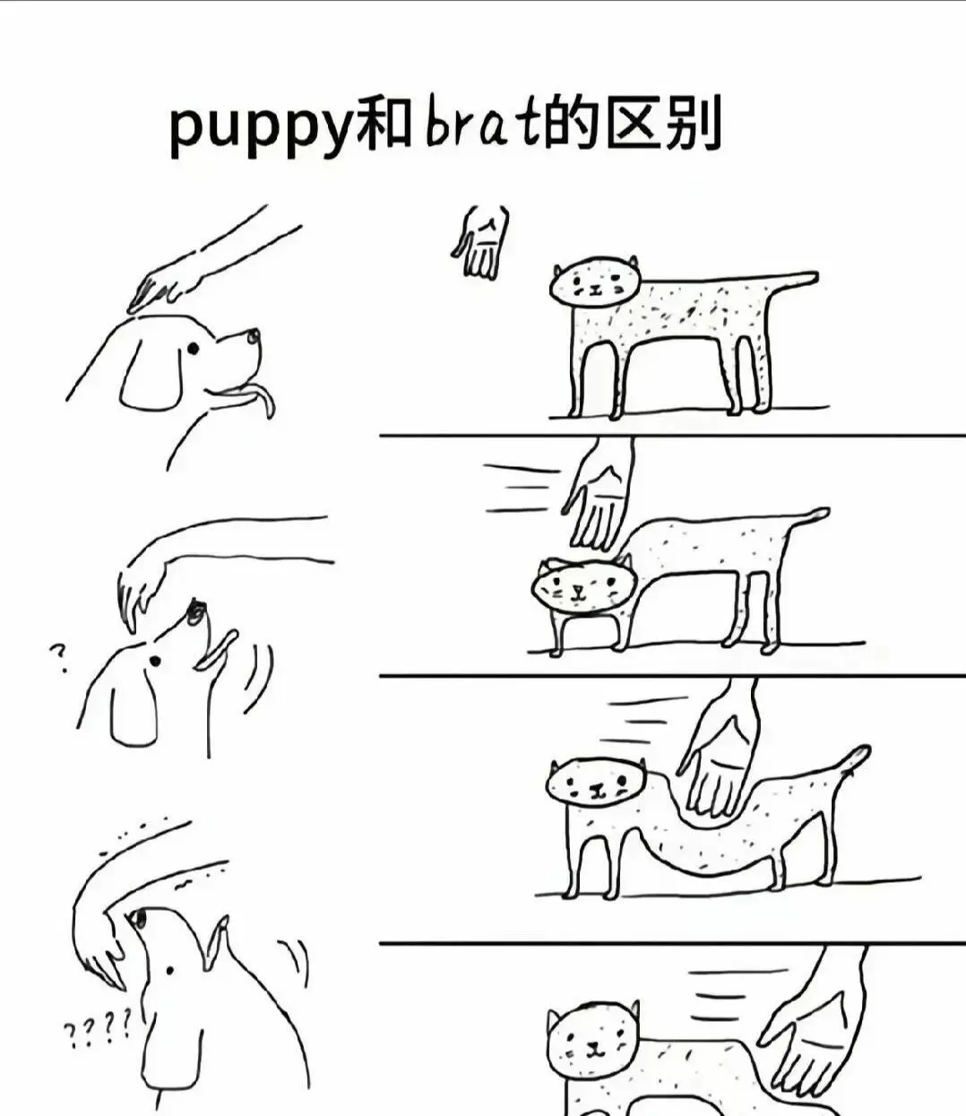 西檬之家S倾向是什么意思？ 一
