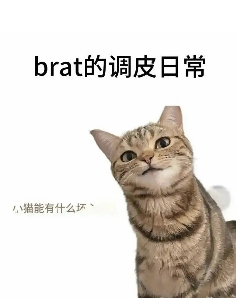 西檬之家Sp小圈怎么玩？字母圈新人入圈 一