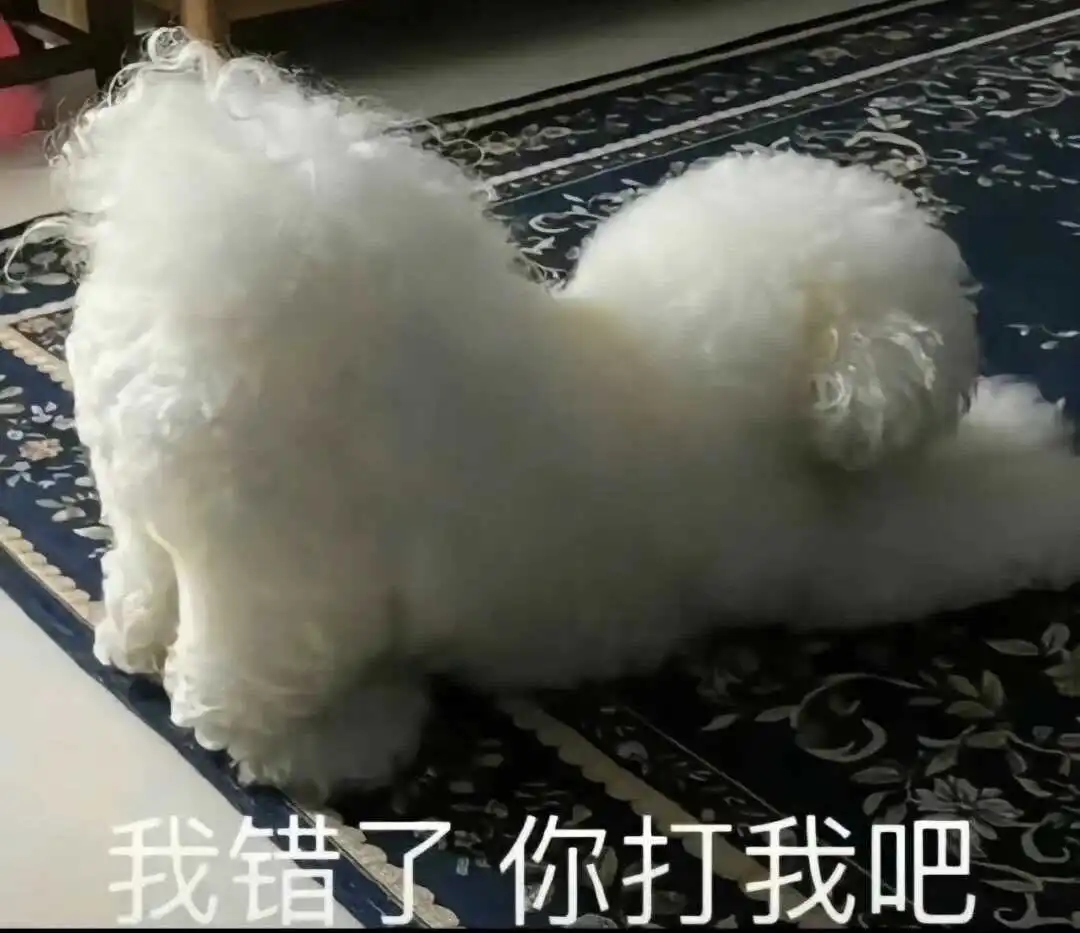 西檬之家s倾向是什么?你在字母圈是哪种属性? 一