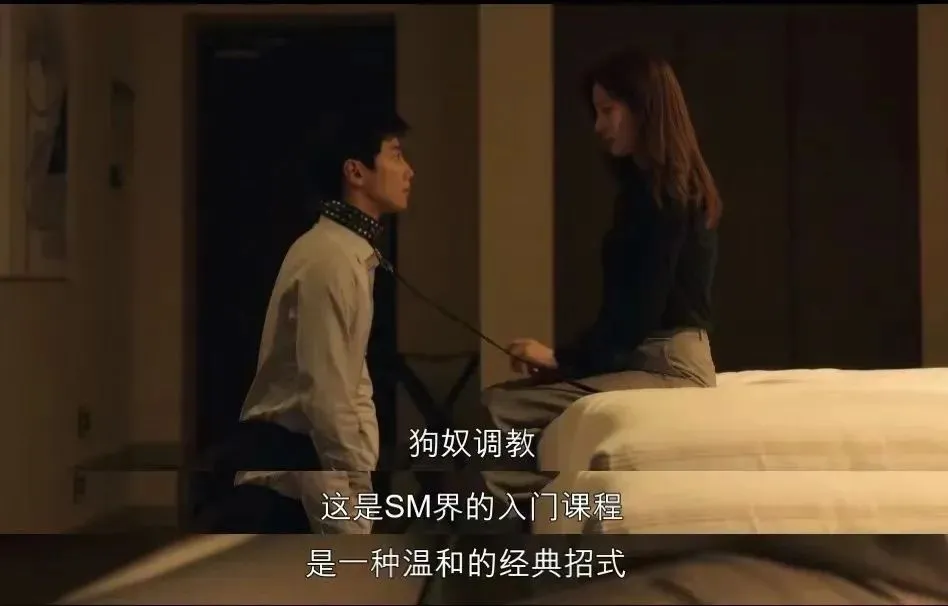 西檬之家K9犬系入门指南 一