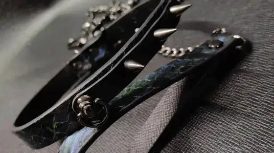 西檬之家sm亚文化入门指南 一