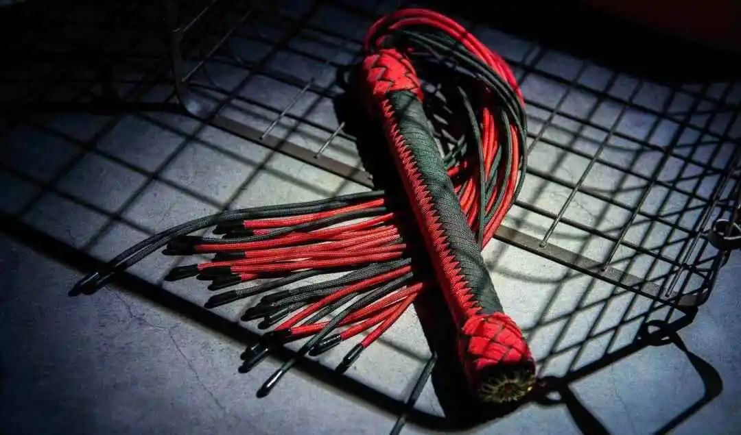 西檬之家字母圈的Sub是什么意思? 一